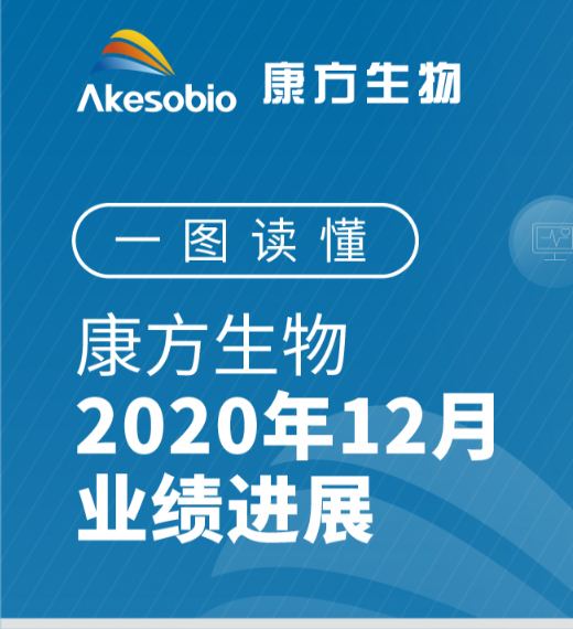 2020年12月月报 2020