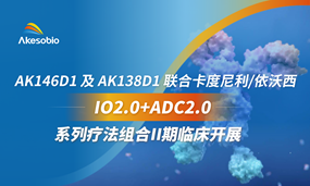 IO2.0+ADC2.0系列疗法组合II期临床召开！恒星集团(中国)AK146D1及AK138D1联合卡度尼利/依沃西及自研高潜力药物治疗实体瘤